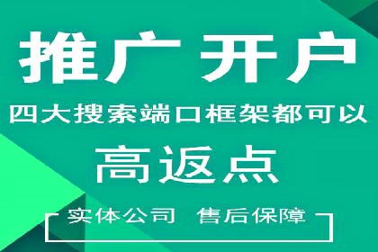 百度竞价公司案例分析：提升转化率的策略